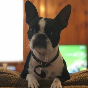 Meet your Posher, Tyler